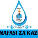 Water Institute (WI) Job vacancies