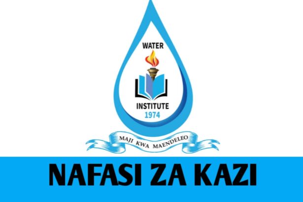 Water Institute (WI) Job vacancies