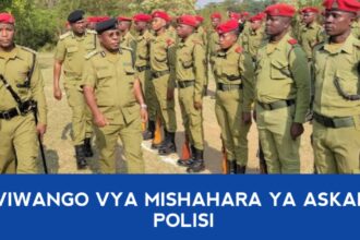 Mshahara wa polisi Tanzania