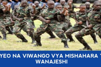Mishahara ya Wanajeshi JWTZ