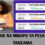 Mikopo ya Pesa Online Tanzania