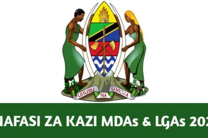 Nafasi za Kazi MDAs & LGAs, 2025