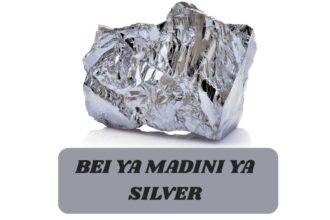 Bei ya Madini ya Silver Tanzania
