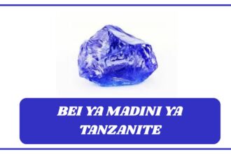 Bei ya Madini ya Tanzanite
