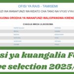 Jinsi ya kuangalia Form five selection 2025/26