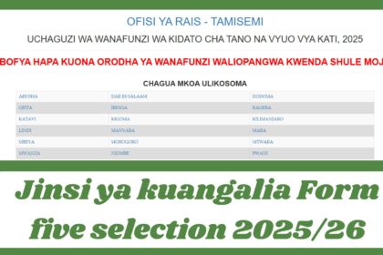 Jinsi ya kuangalia Form five selection 2025/26