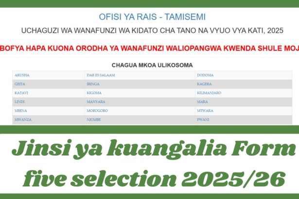 Jinsi ya kuangalia Form five selection 2025/26