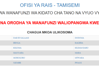 Form five selection 2025/26 mikoa yote