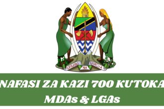 Nafasi za Kazi MDAs & LGAs, 2025