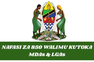 850 Nafasi za kazi MDAs & LGAs (Economics), 2025