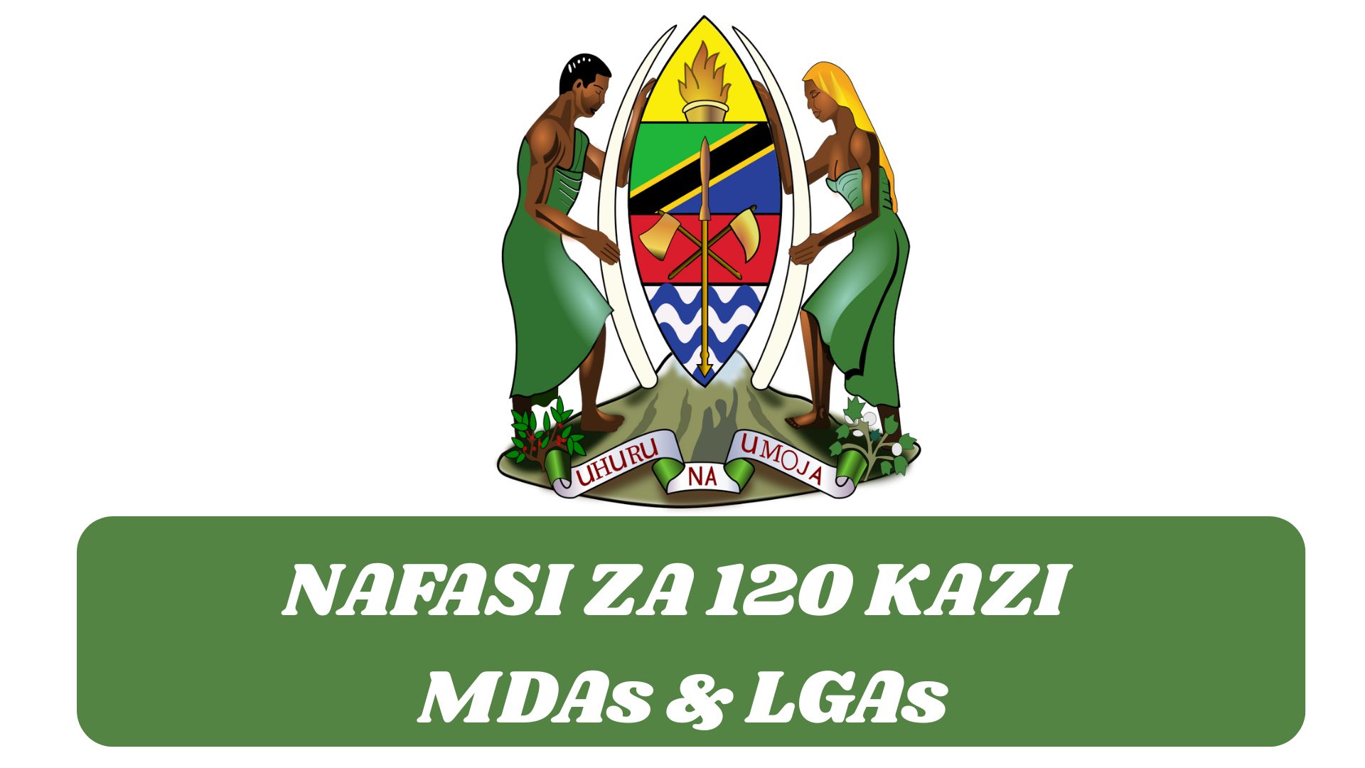 120 Nafasi za Kazi MDAs & LGAs (Physics), 2025