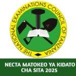 Jinsi ya kuangalia Matokeo ya Kidato cha Sita 2025