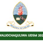 Majina waliochaguliwa UDSM 2025