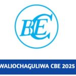 Majina waliochaguliwa CBE 2025