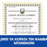 Jinsi ya Kupata TIN Namba ya Biashara Online (Kupitia TRA)